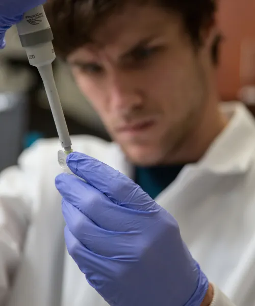Close up of a male student doing laboratory research