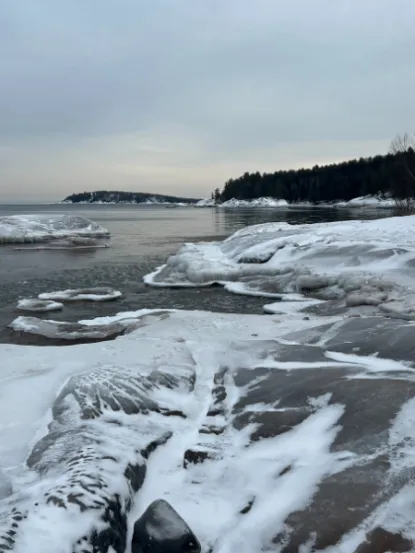 Frozen lakeshore 