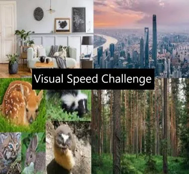 Visual Speed Challenge