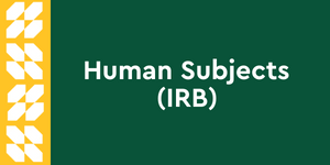 Human Subjects (IRB) clickable button