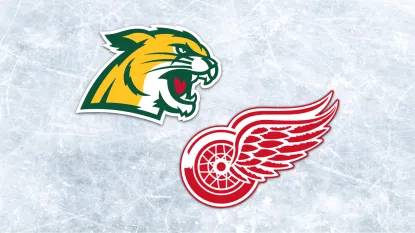 The NMU Wildcat logo and Detroit Red Wings logo are imposed onto an image of an ice rink for aesthetic purposes.