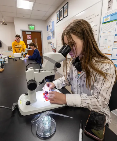 Student views a specimen under a microscope
