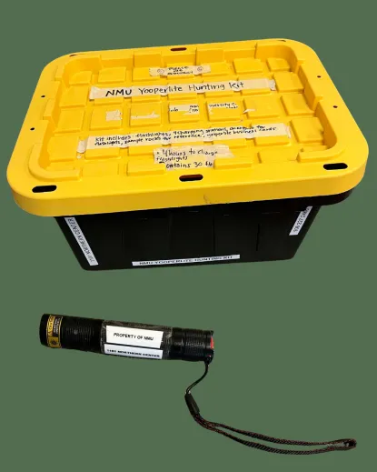 Black box with yellow lid, and one small UV flashlight