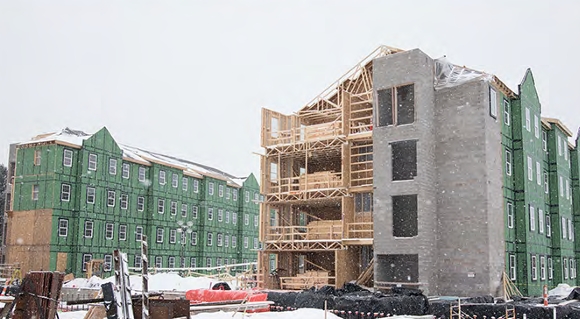 The Woods construction