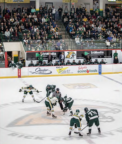NMU Hockey Team