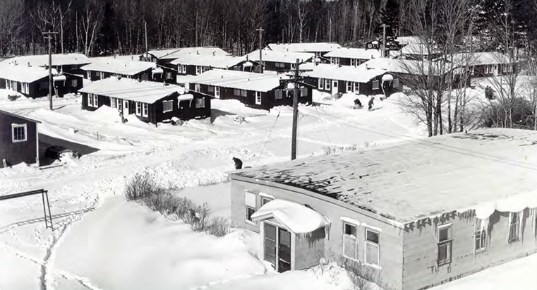 Vetville overview