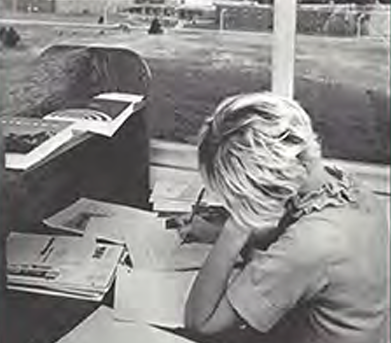 Person studying outside