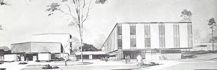 McClintock drawing