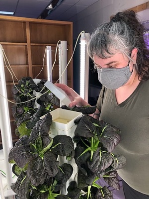 Chelsea Pearson Inspecting Tower Garden Water Flow