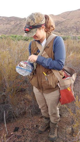 Graduate student Ellen Michels doing field work