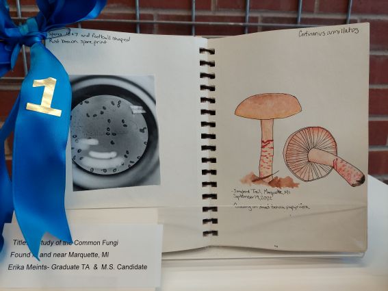 Erika Meintz's artwork - notebook with watercolors and photos of fungi