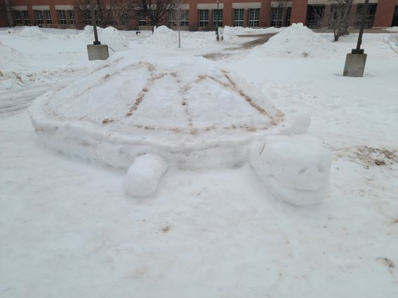 snow sculpture of a giant turtle