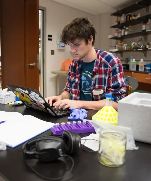 Male student doing research in a lab