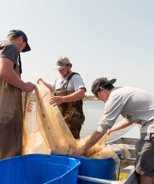 Group of male students working with fish nets by a lake