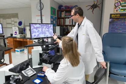 Two individuals examining cells on a large monitor