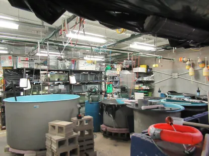 A view of large tanks in the NMU Aquatics Lab