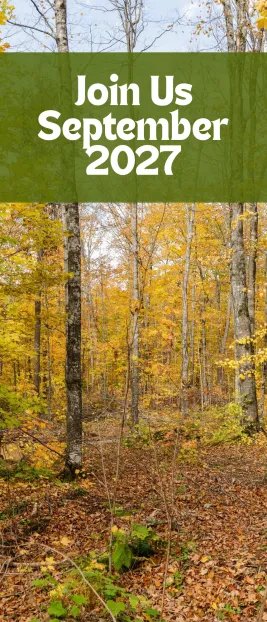 Fall background with date for next year