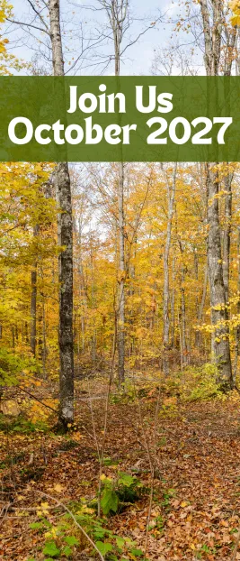 Autumn image with green bar and next years dates