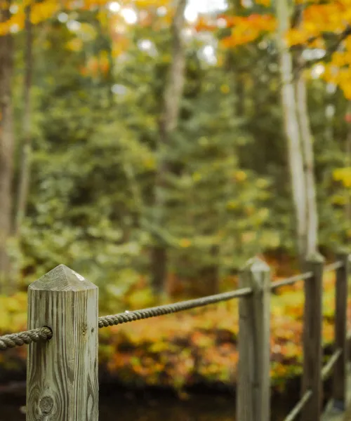 Bridge in the fall