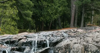 The Dead River Falls in the spring
