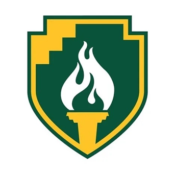 NMU Cyber Security Emblem 2