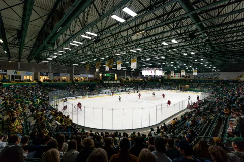 An indoor ice hockey rink with players on the ice, surrounded by spectator seating filled with fans in green and yellow. 