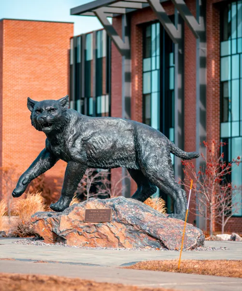 Image of the Wildcat Statue