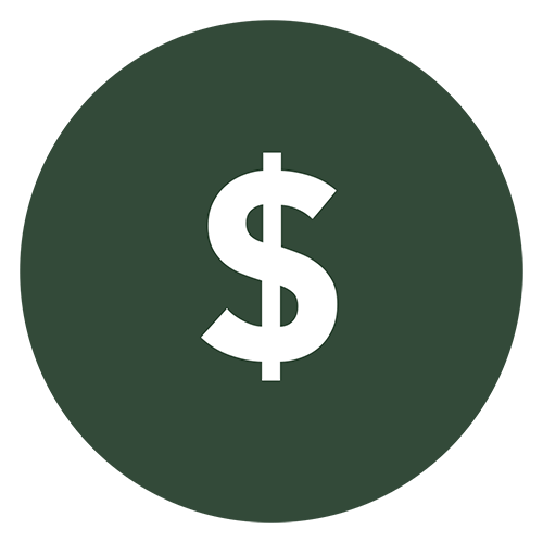 Dollar Icon
