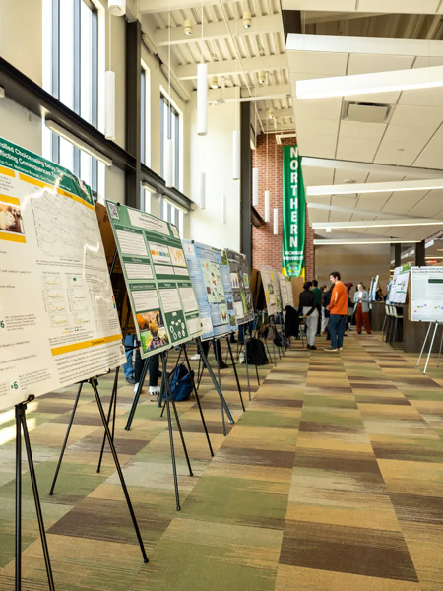 celebration of student scholarship