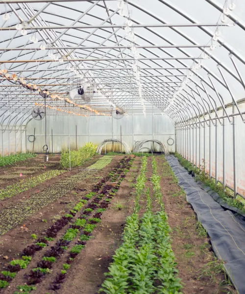 sustainability leadership bottom banner, hoop house