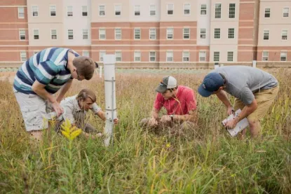 four male students collecting plant samples