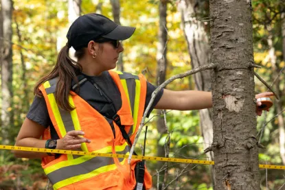 natural resource management, student assessing forest composition