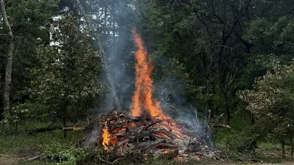 brush burn