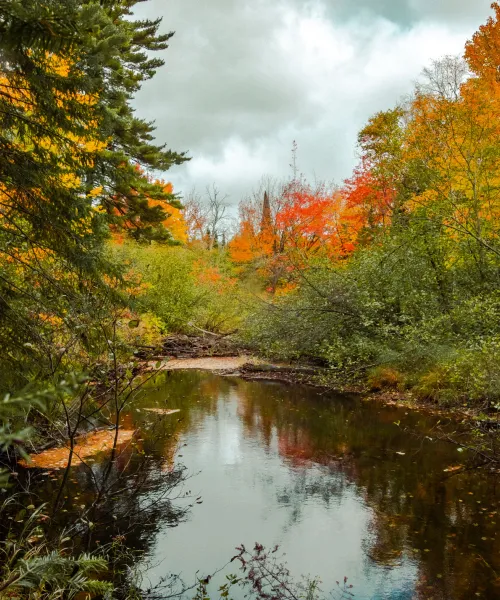 harlow creek, carousel image 1