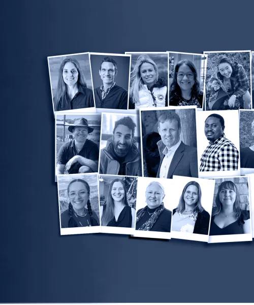 eegs faculty and staff