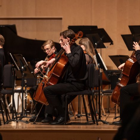 Close-up on orchestra cello/bass section