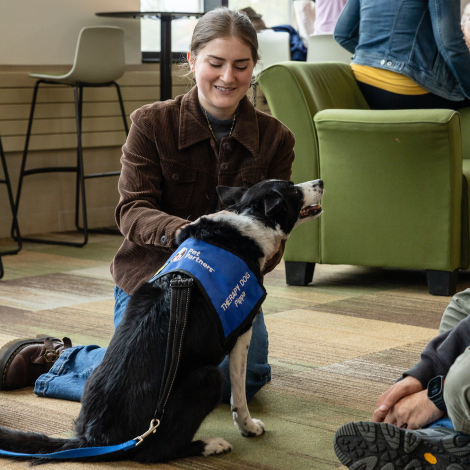 Student petting a black and white dog at NMU's animal therapy event.