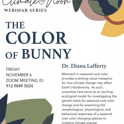 The color of bunny poster describes the event and provides the zoom link
