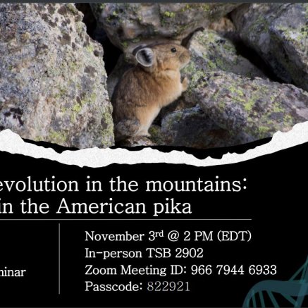 Molecular evolution in the mountains: adaptation in the American pika