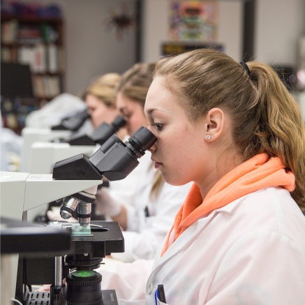 students using microscopes in a lab