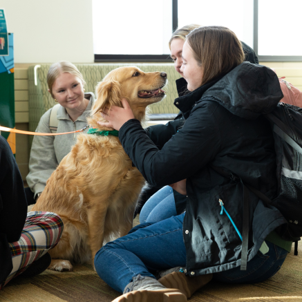 three female students petting a dog
