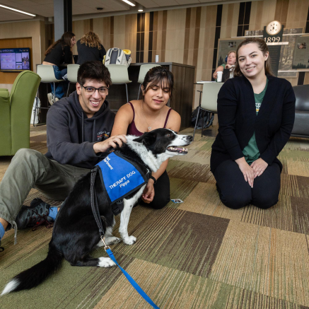 Three students petting a black and white dog at NMU's Animal Therapy Event.