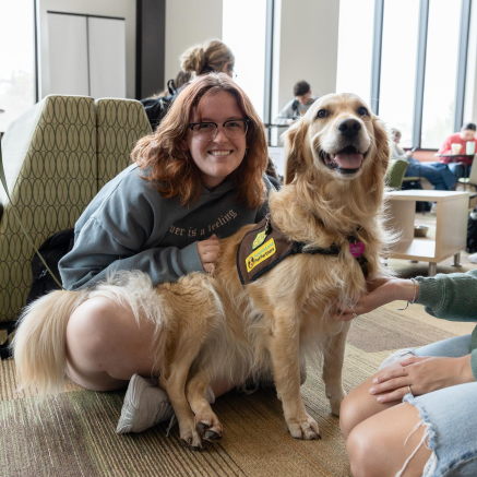 Student petting a golden retriever wildpup at NMU's Animal Therapy event.