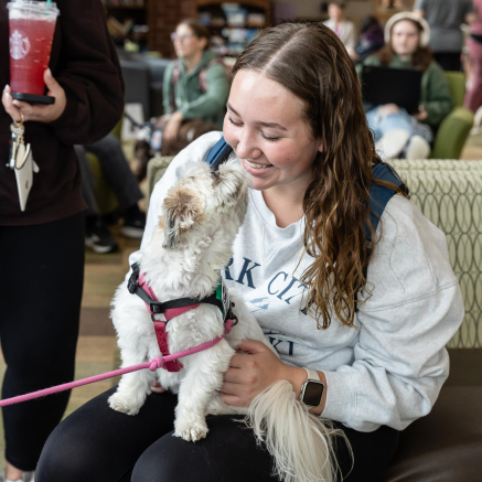 Student petting a Shih Tzu wildpup at NMU's animal therapy event.