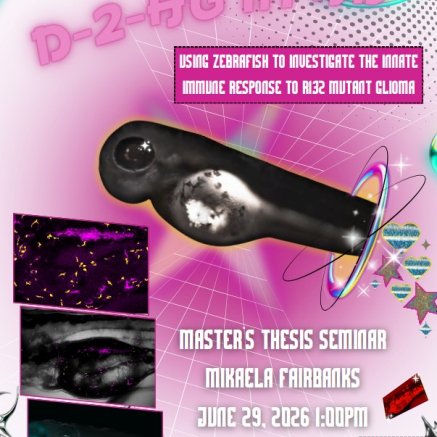 D-2-HG in HD USING ZEBRAFISH TO INVESTIGATE THE INNATE IMMUNE RESPONSE TO R132 MUTANT GLIOMA