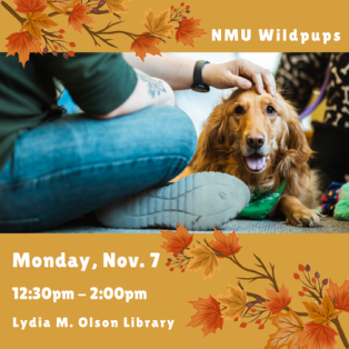 The NMU Wildpups will be at the Lydia M. Olson Library on Monday, November 7, from 12:30pm-2:00pm