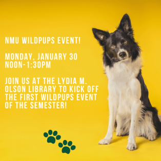 The NMU Wildpups will be at the Lydia M. Olson Library on Monday, January 30, from 12:00pm-1:30pm