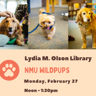 The NMU Wildpups will be at the Lydia M. Olson Library on Monday, February 27, from 12:00pm-1:30pm