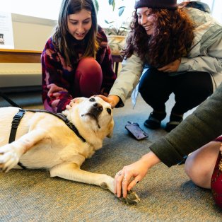 three students petting a dog