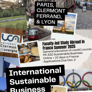 poster for sustainable business in France FLSA